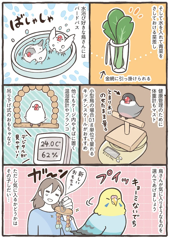 『トリ扱い説明書』より