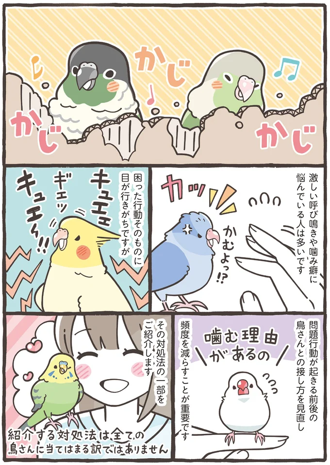 『トリ扱い説明書』より