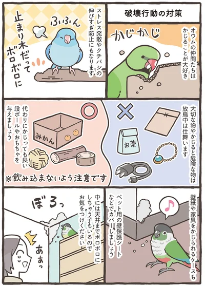 『トリ扱い説明書』より