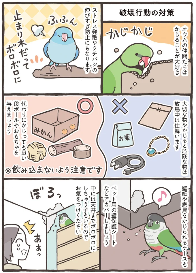 『トリ扱い説明書』より