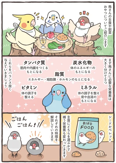 『トリ扱い説明書』より