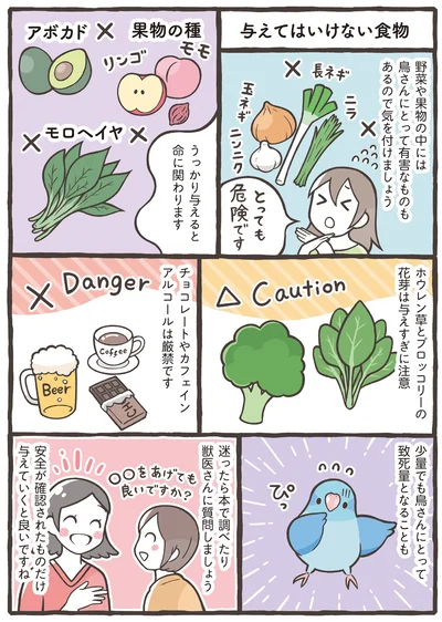 『トリ扱い説明書』より