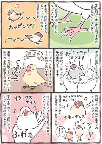 『トリ扱い説明書』より