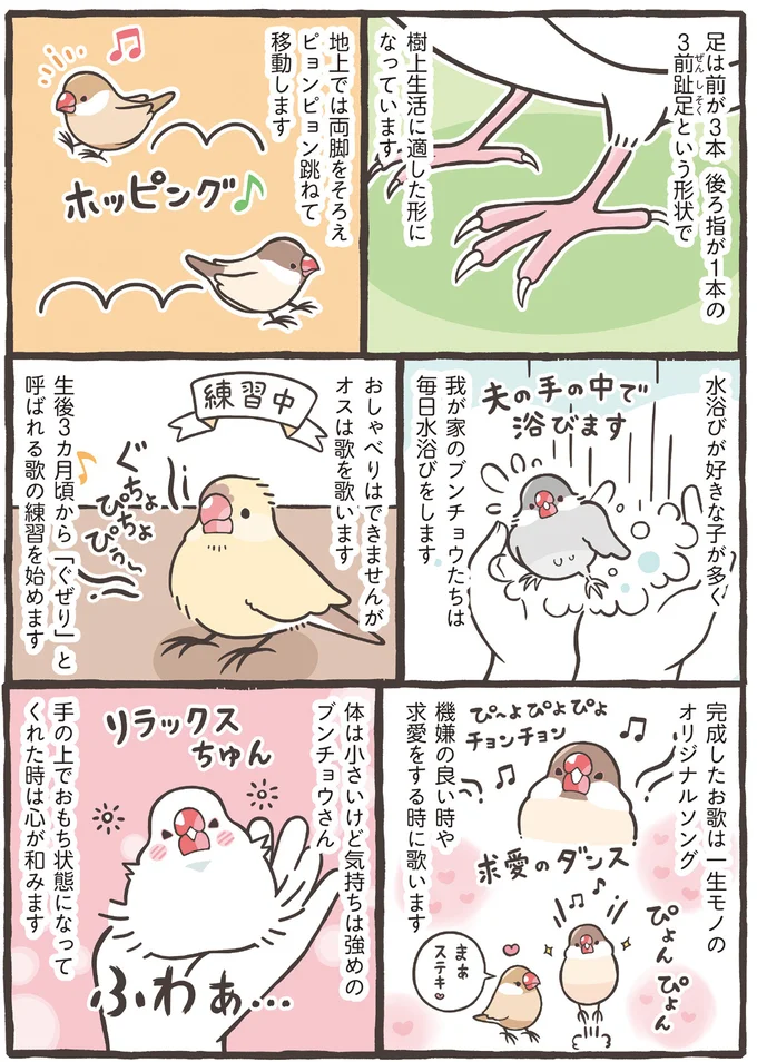 『トリ扱い説明書』より