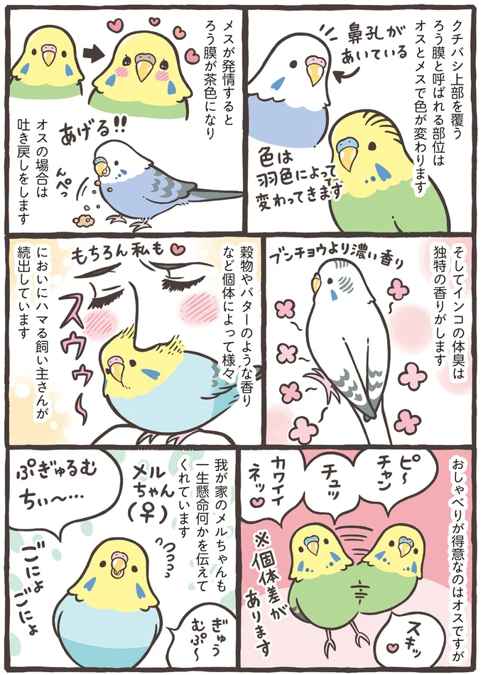 『トリ扱い説明書』より