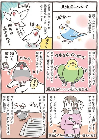 『トリ扱い説明書』より