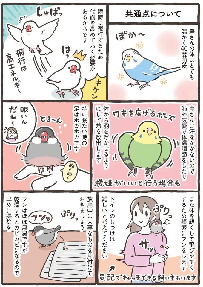 『トリ扱い説明書』より