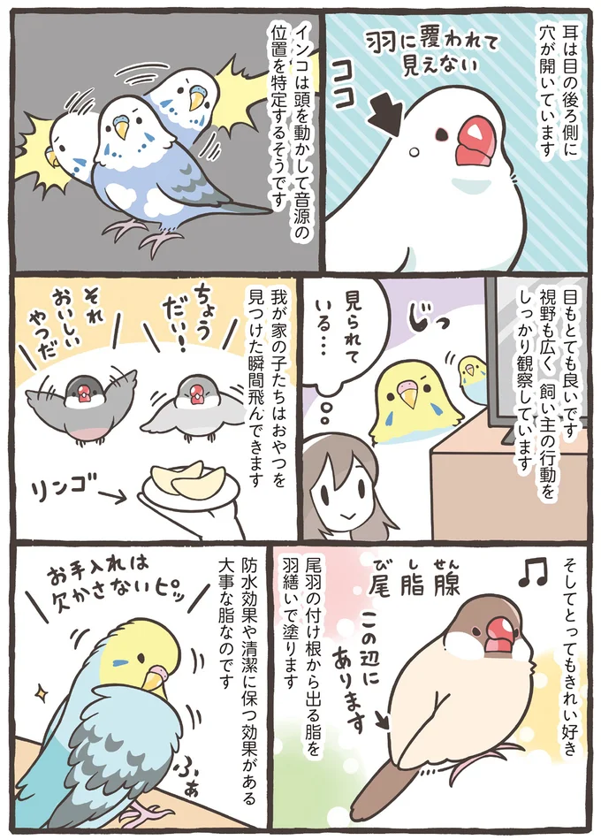 『トリ扱い説明書』より