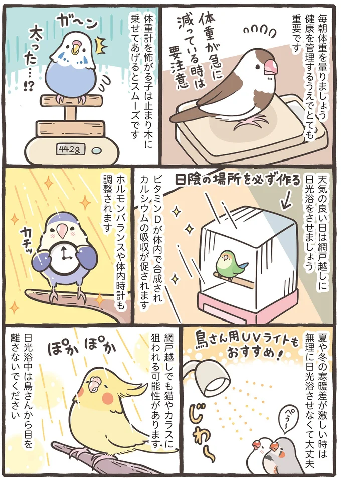 『トリ扱い説明書』より