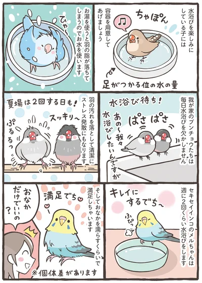 『トリ扱い説明書』より