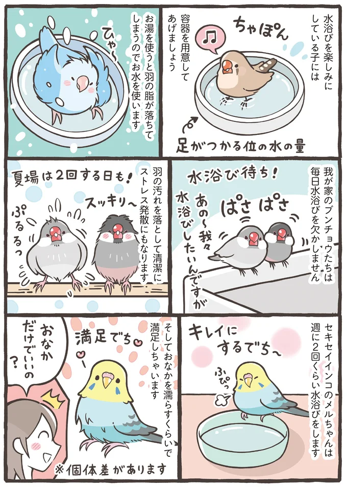 『トリ扱い説明書』より