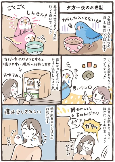 『トリ扱い説明書』より