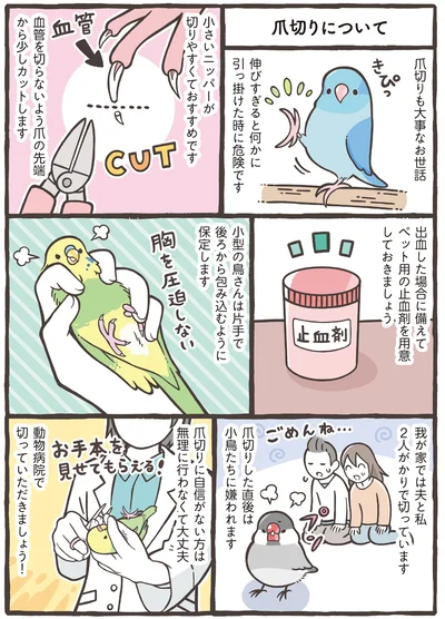 『トリ扱い説明書』より