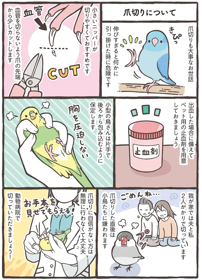 『トリ扱い説明書』より