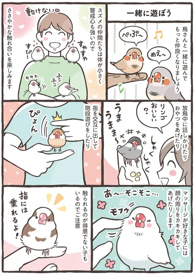 『トリ扱い説明書』より