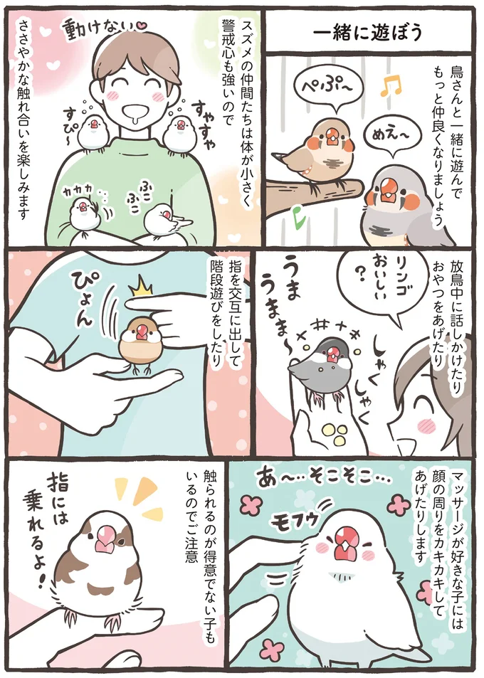 『トリ扱い説明書』より