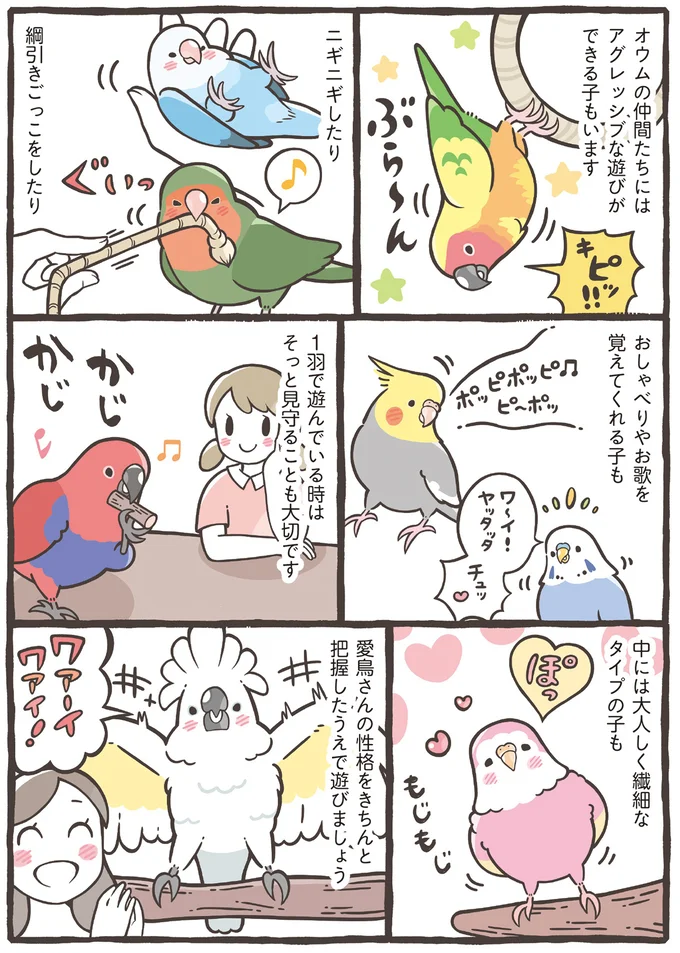 『トリ扱い説明書』より