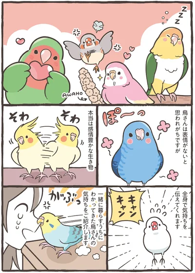 『トリ扱い説明書』より