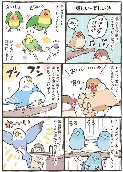 『トリ扱い説明書』より