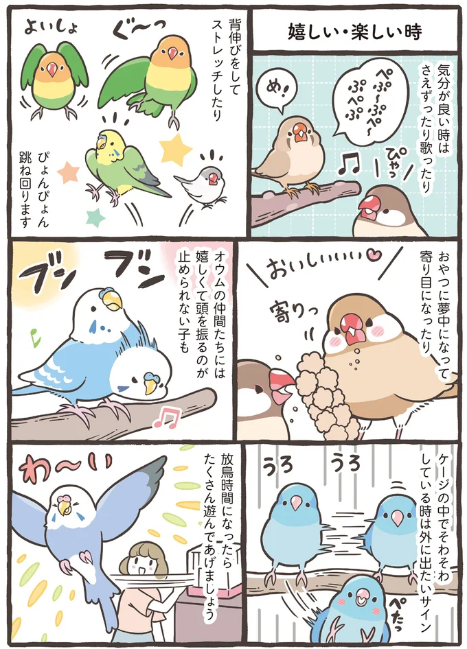 『トリ扱い説明書』より