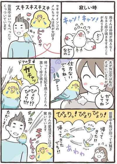 『トリ扱い説明書』より