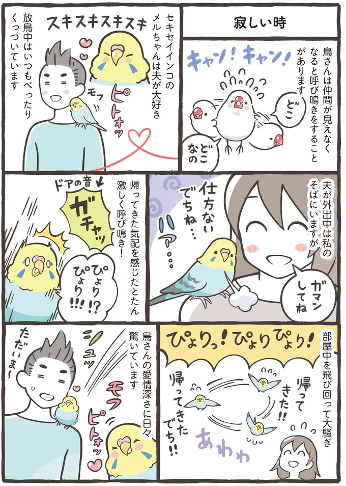 『トリ扱い説明書』より