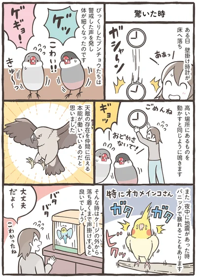 『トリ扱い説明書』より