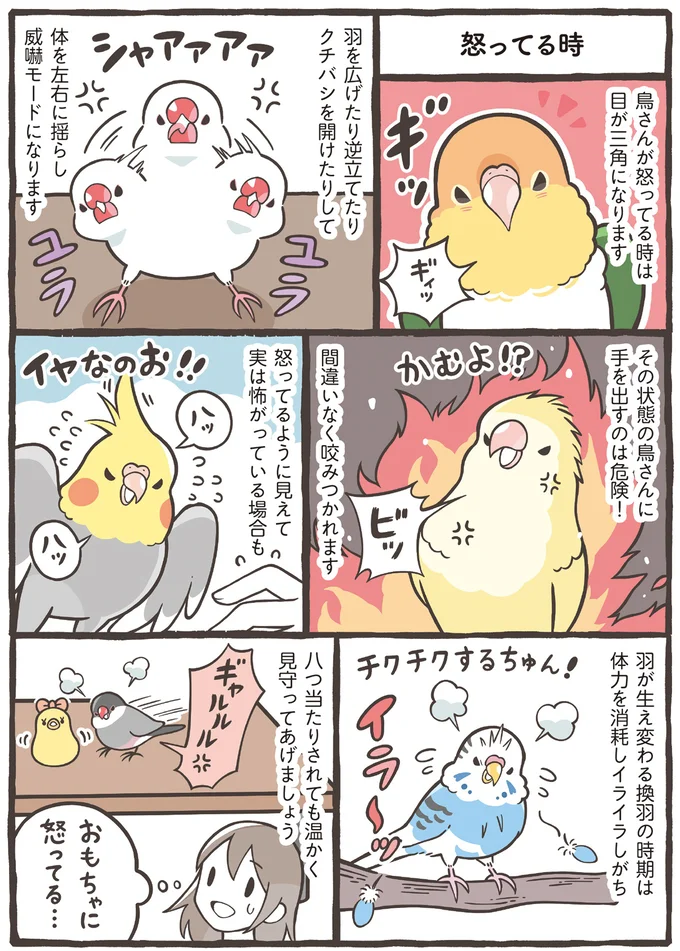 『トリ扱い説明書』より