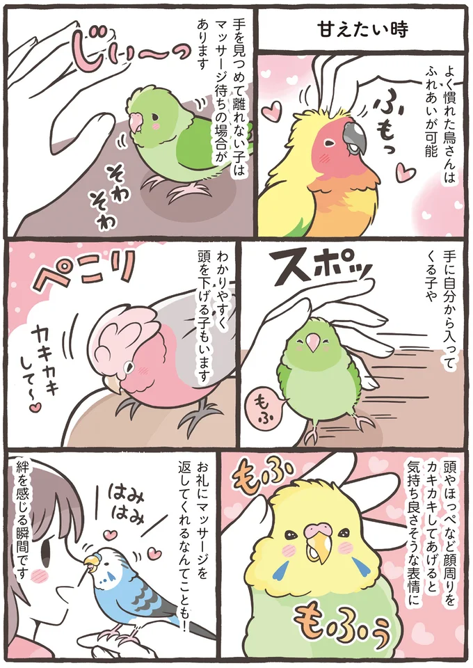 『トリ扱い説明書』より