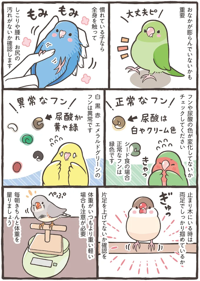 『トリ扱い説明書』より