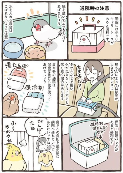 『トリ扱い説明書』より