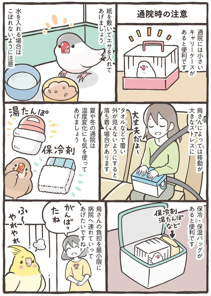 『トリ扱い説明書』より