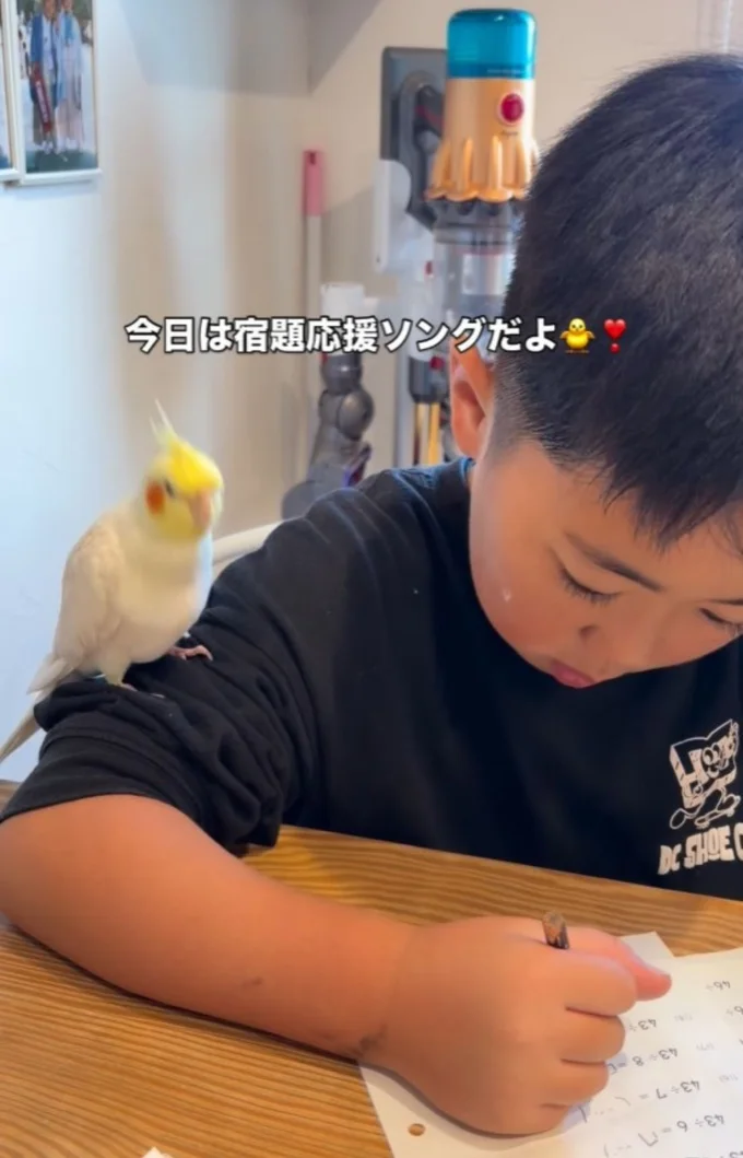 宿題応援ソングを歌う「サニーちゃん」（⇒次へ）