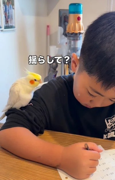 揺らしてほしくて凝視するサニーちゃん（⇒次へ）