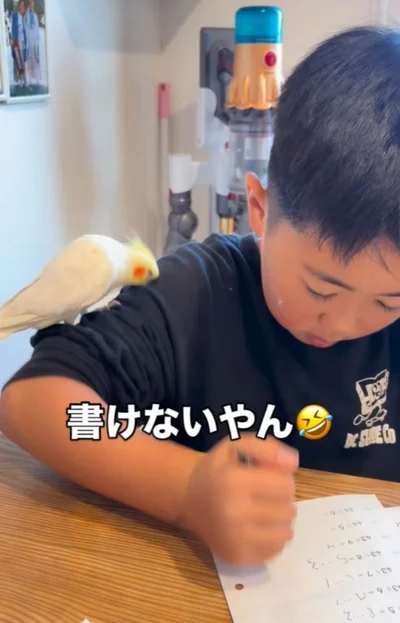 揺らしてあげると宿題が書けない…▶サニー先生の宿題チェック（⇒次へ）