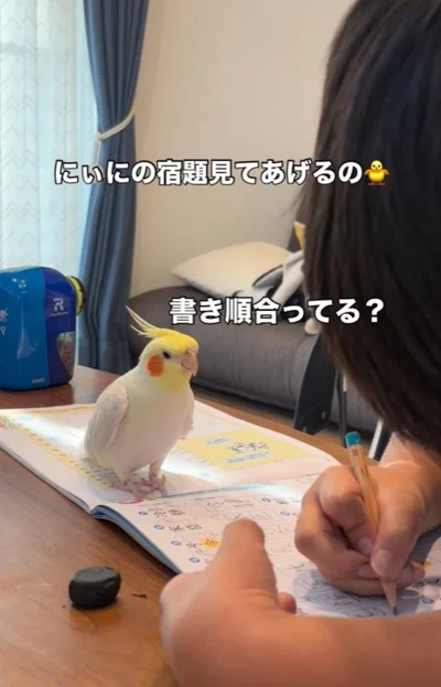 「書き順合ってる？」と言いたげ▶“にぃに”が起きた音が聞こえると…（⇒次へ）