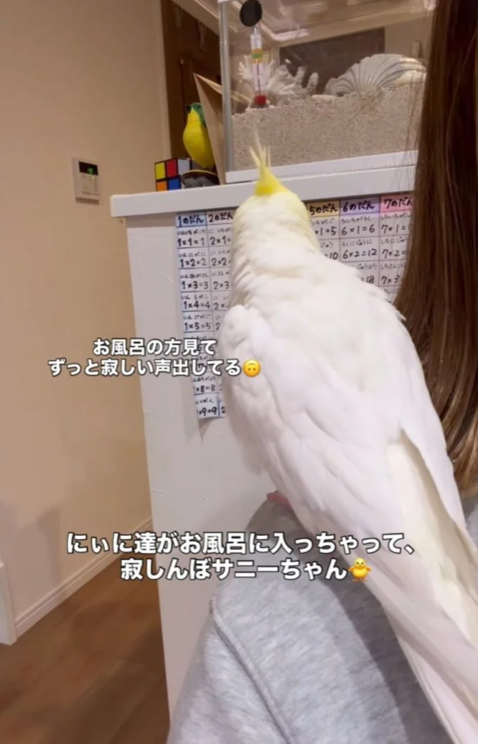 お風呂の方を見ながら寂しい声を出している▶お風呂場から名前を呼ばれ…（⇒次へ）