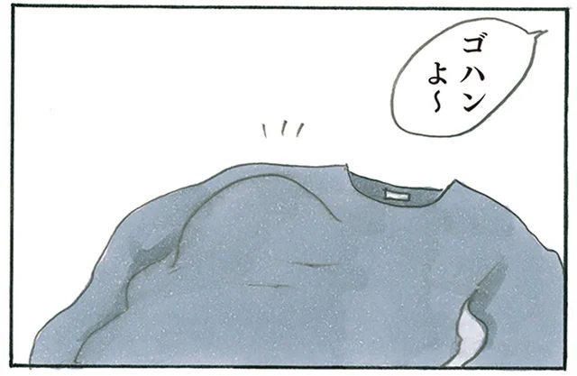 セーターを前にうずうず。潜れるものにはとりあえず潜る猫の末路