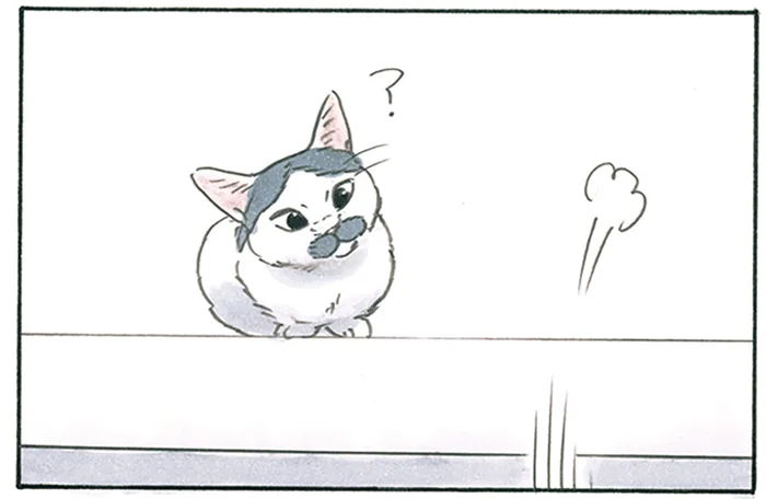 猫じゃらしは気になるけど動かない!? 疑問符を浮かべ首をかしげる猫