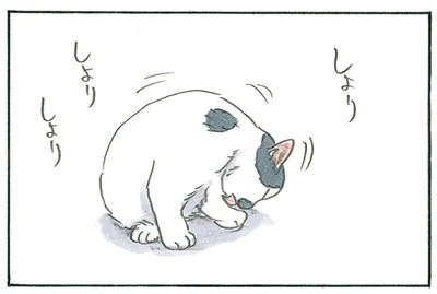 一生懸命毛づくろい