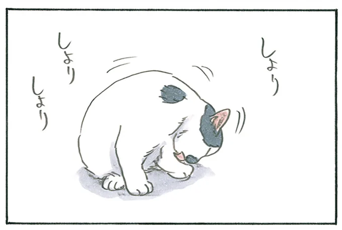 一生懸命毛づくろい