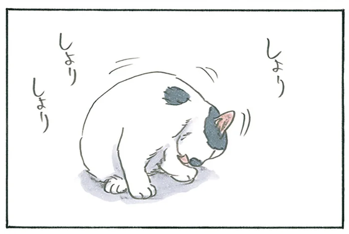 一生懸命毛づくろいをする子猫。最終形態に思わずツッコむ飼い主