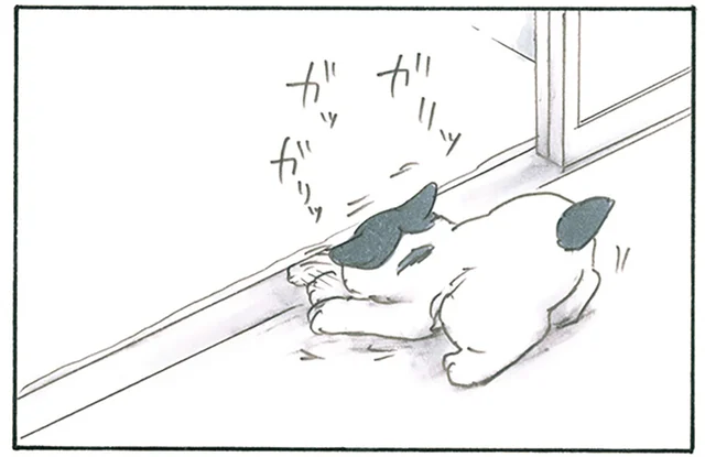 何してるの？ 熱心に溝を掘っている子猫が探しているものは