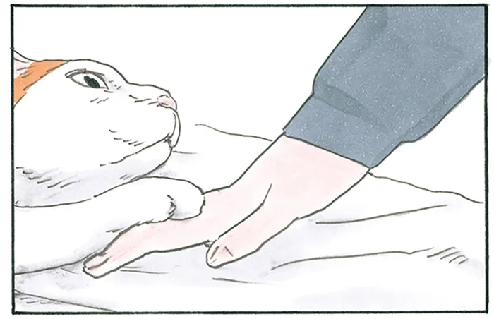 猫と過ごすリラックスタイム。でももう行こう！と意を決したら