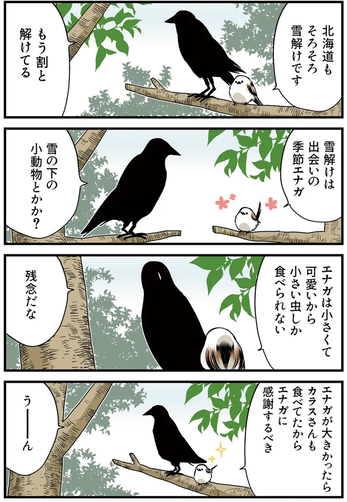 雪解けは出会いの季節エナガ