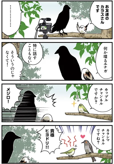 カップルチャンネルですか？