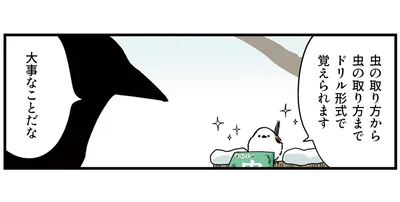 ドリル形式で覚えられる