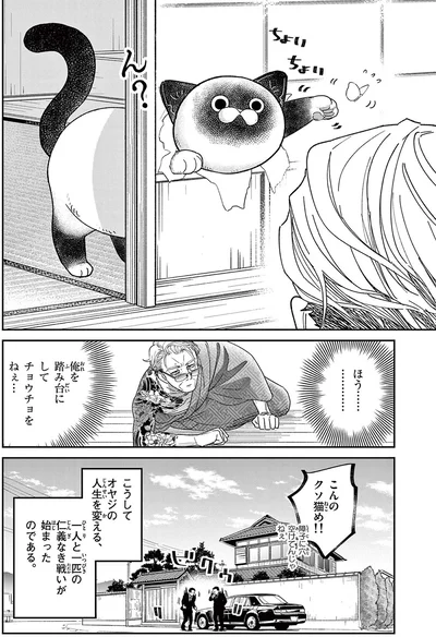 こんのクソ猫め！！