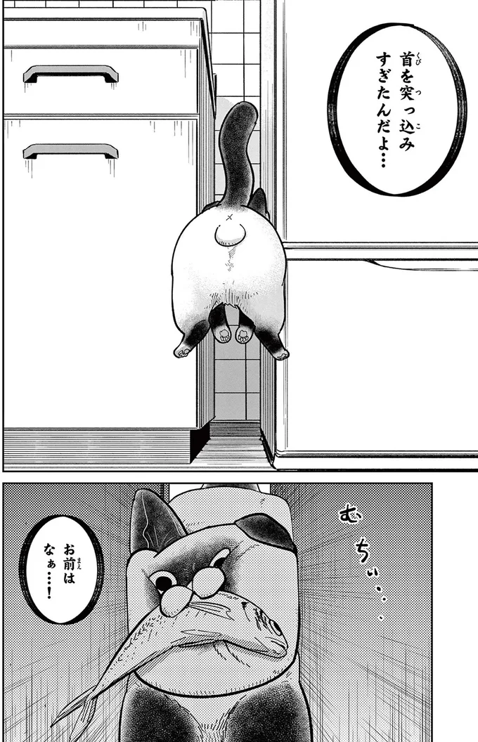 『オヤジとにゃん吉』より