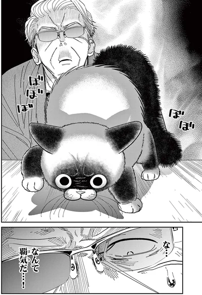 『オヤジとにゃん吉』より